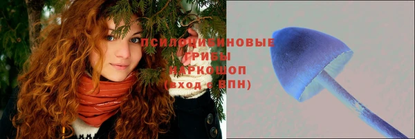 спиды Михайлов