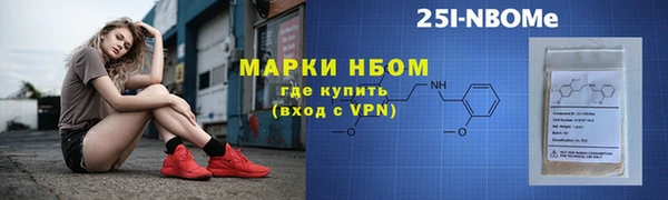 индика Бабаево