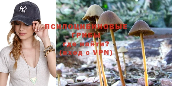 спиды Михайлов