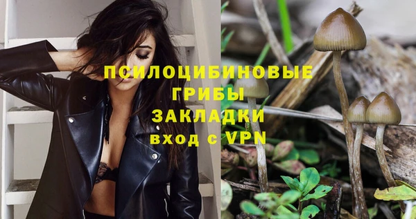 спиды Михайлов